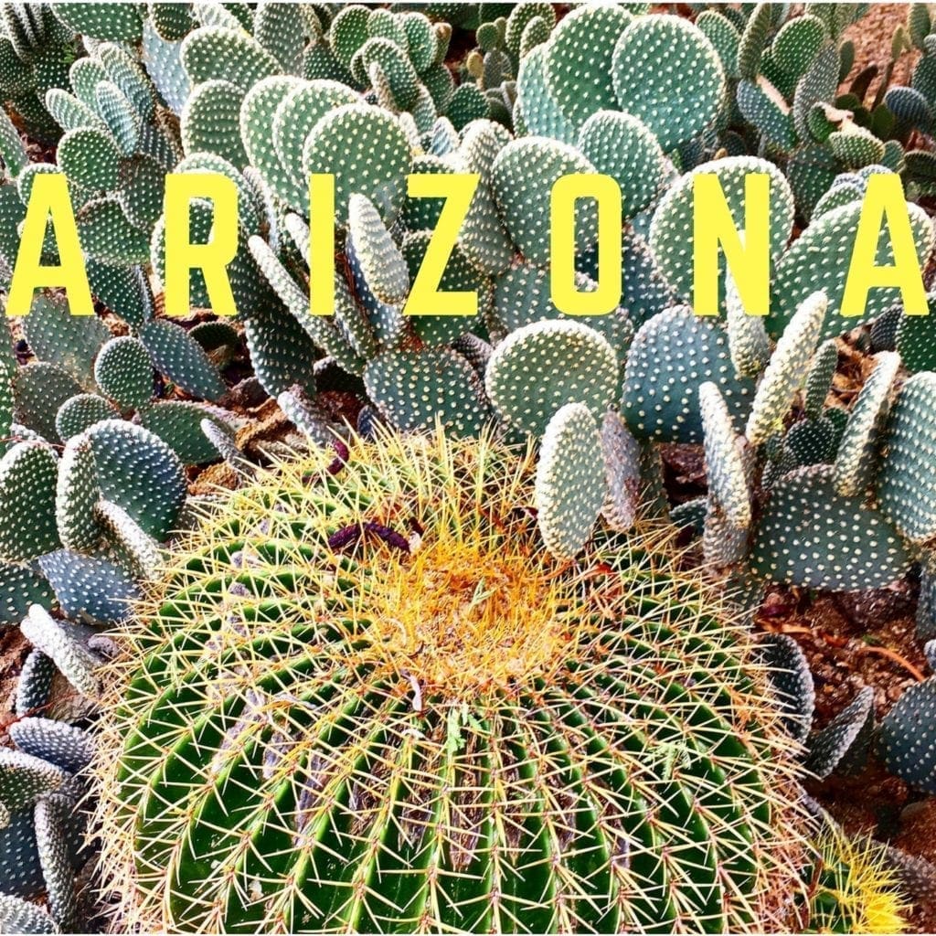 Arizona cactus