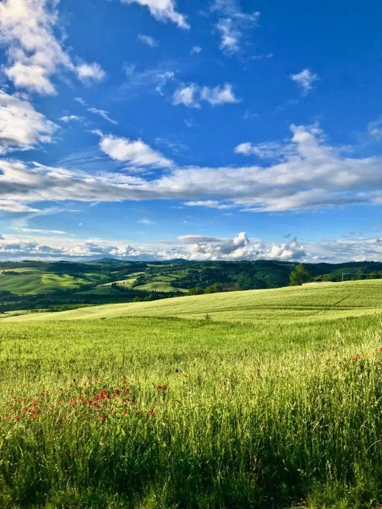 Val D'Orcia Tuscany Italy TheRoadTaken2