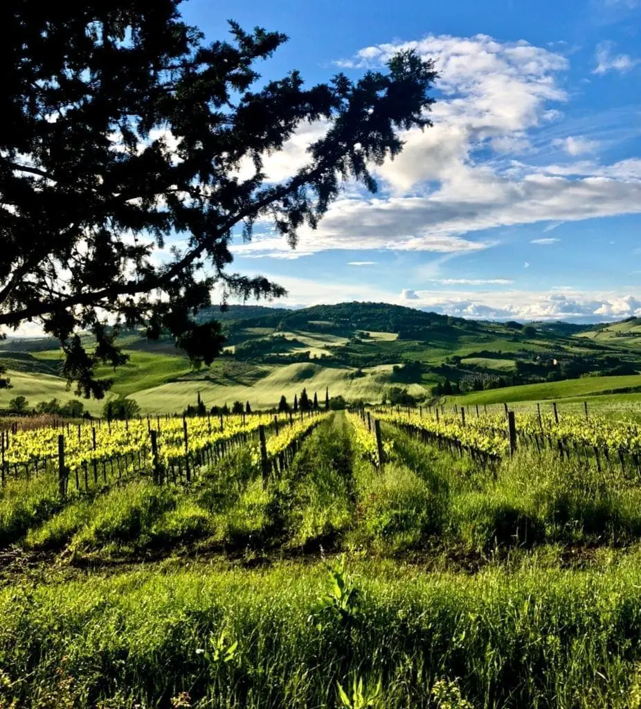 Val d'orcia tuscany italy theroadtaken2