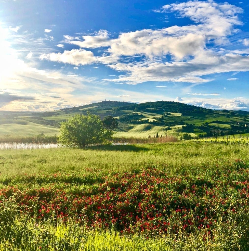 Val d'orcia tuscany italy theroadtaken2