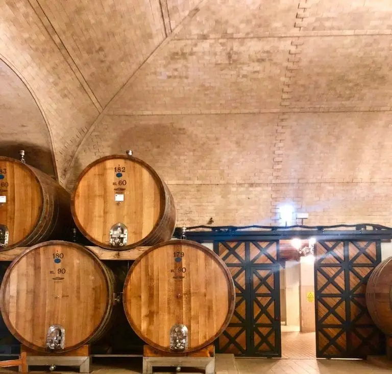 Wine Barrels Castello Banfi Italy Tuscany