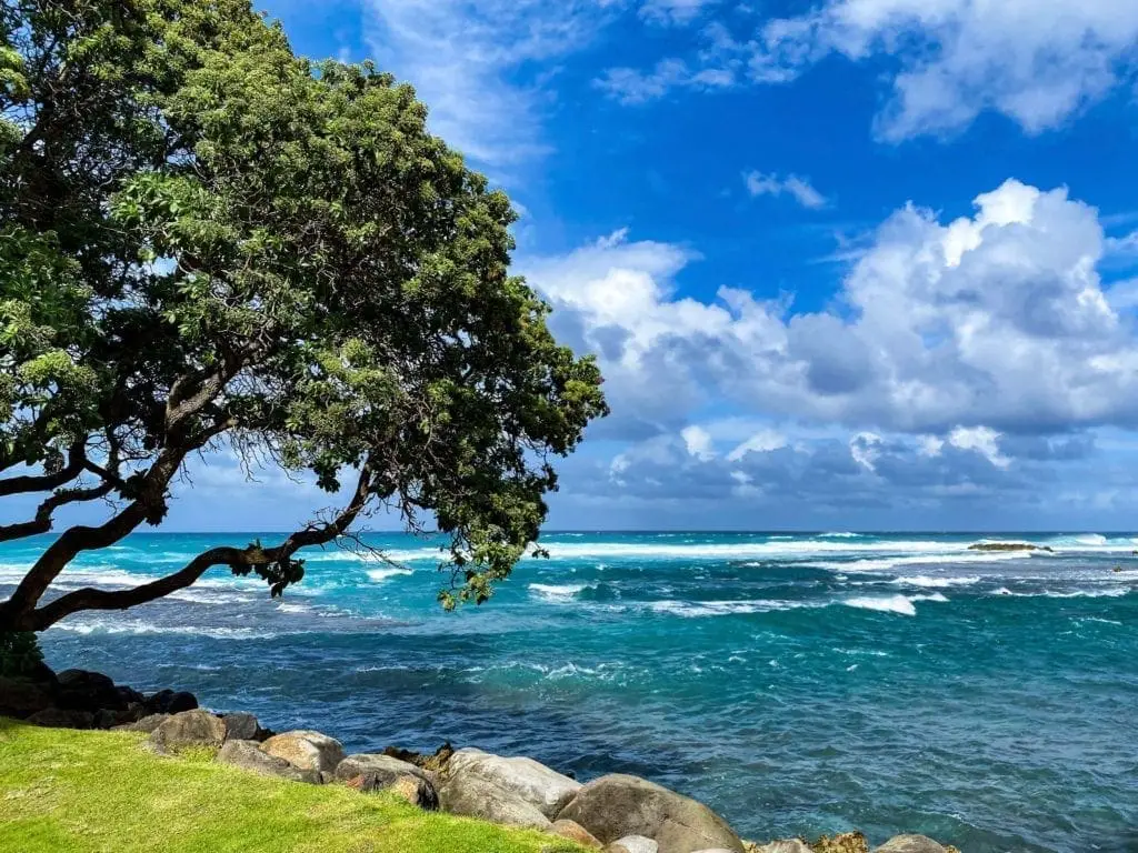 North Shore Waves Oahu Travel Guide Hawaii