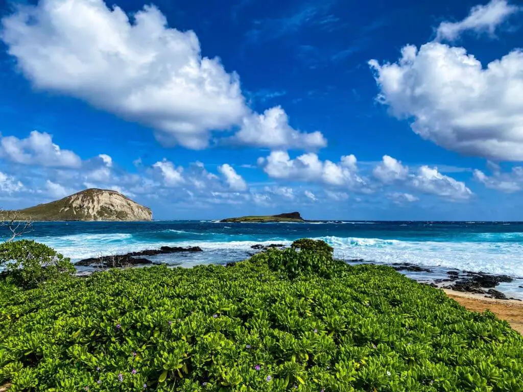 Makapu'u beach park