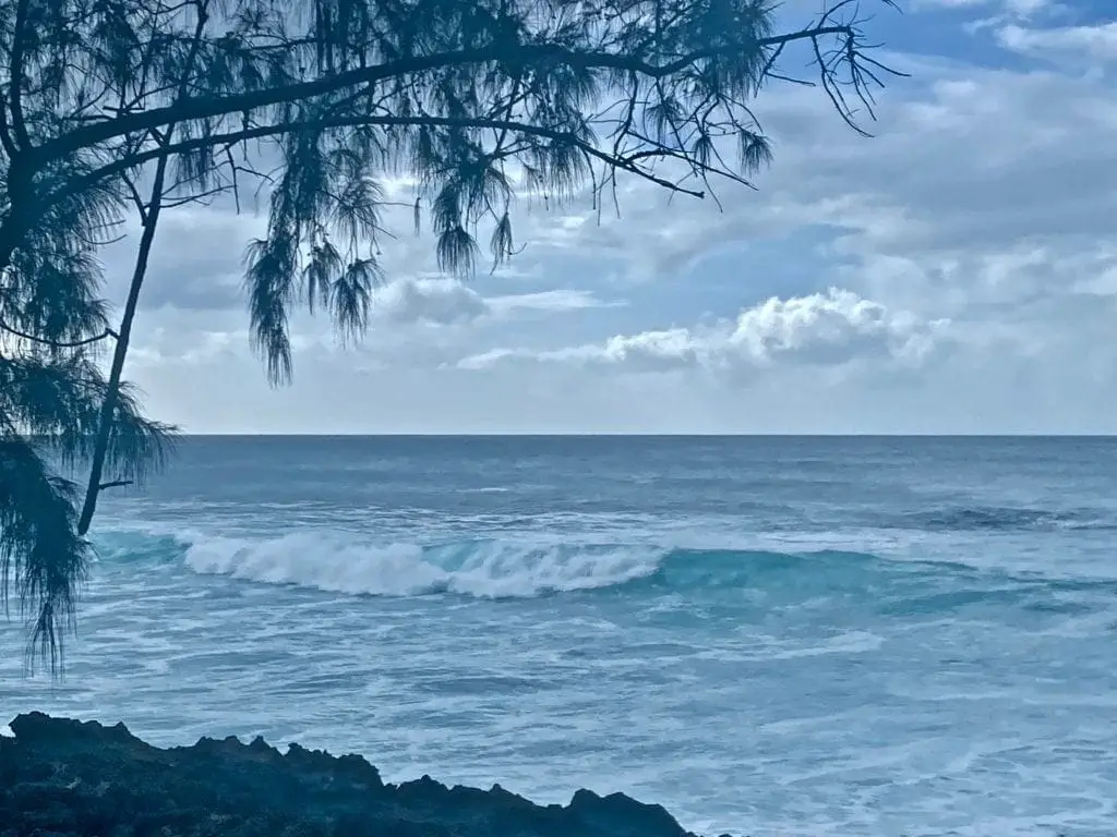 Pupukea beach park north shore hawaii