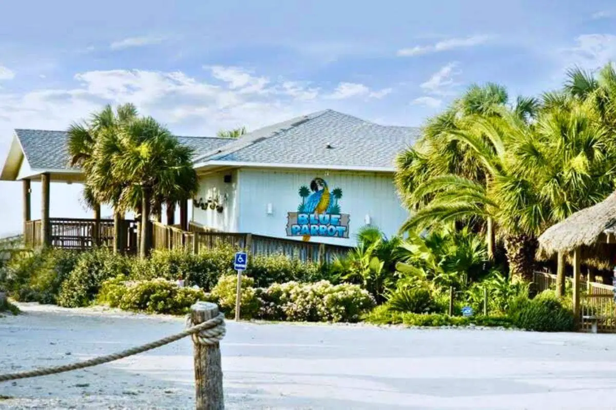 Blue parrot oceanfront cafe on st george island