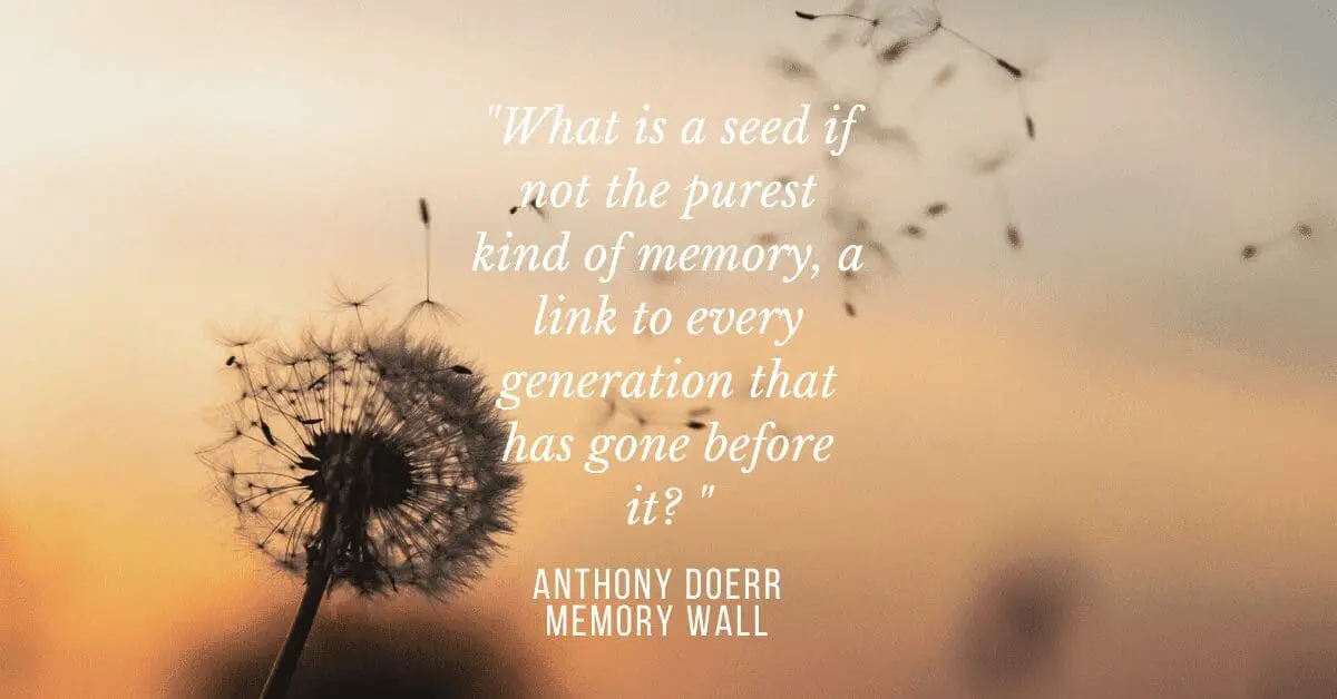 What is a seed anthony doerr quote memory wall