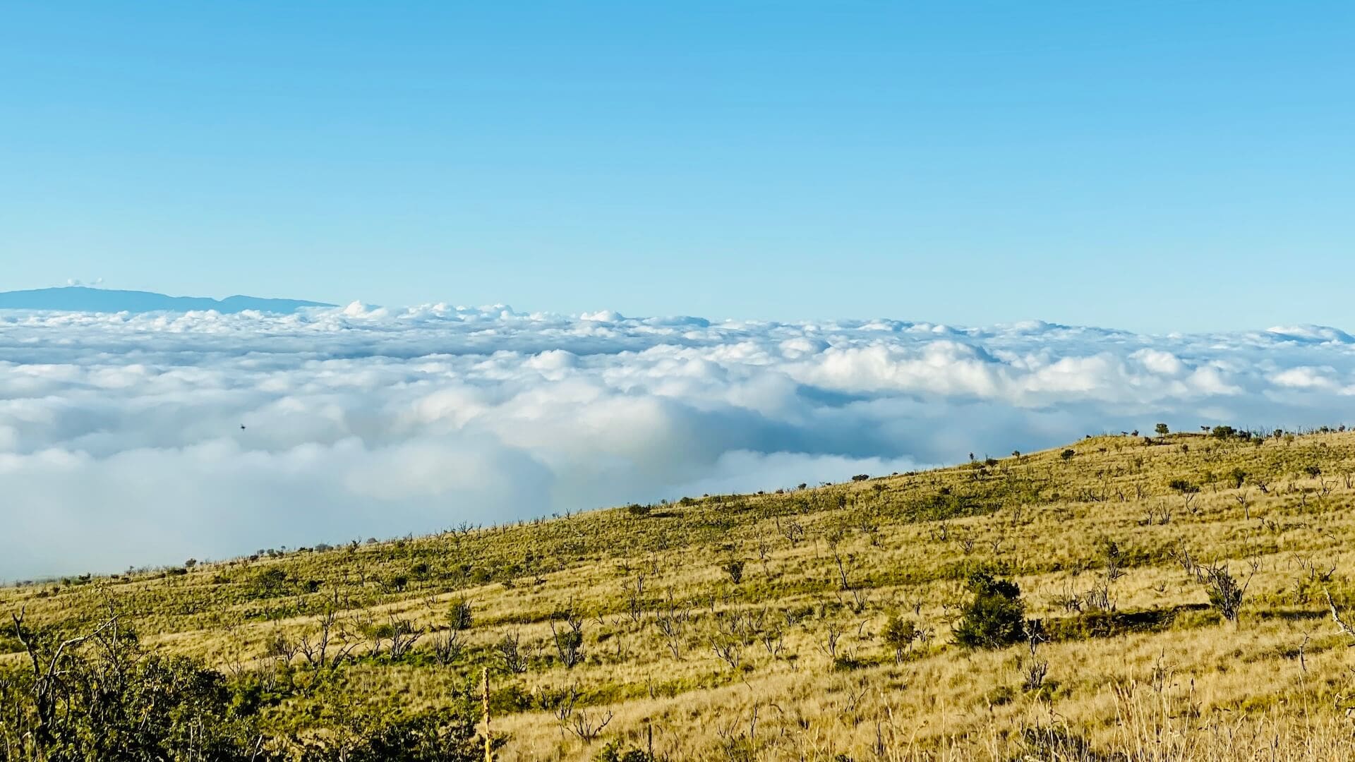 Above the clouds mauna kea hawaii