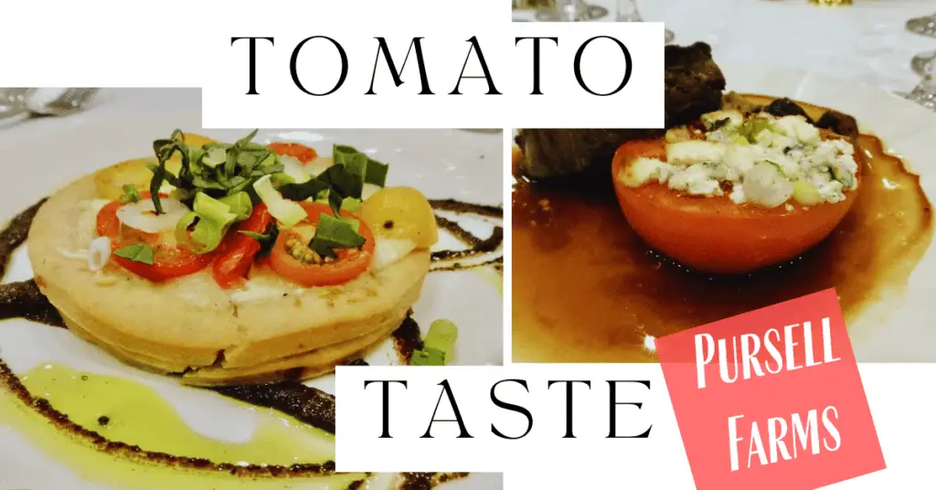 Tomato taste pursell farms event chef joe truex