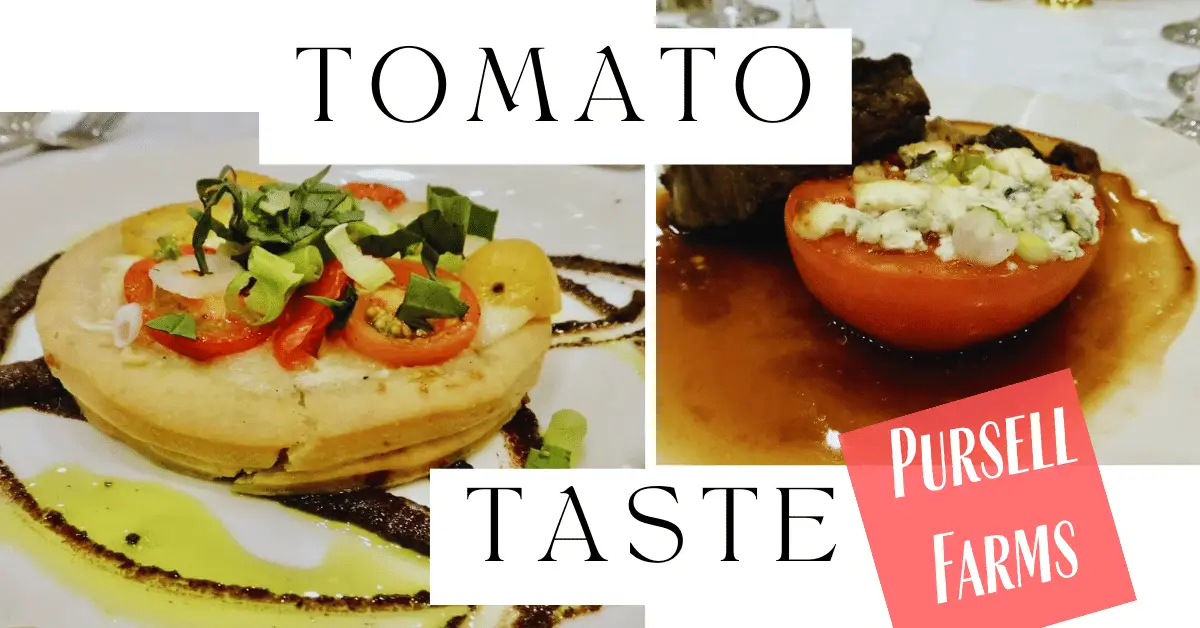 The great tomato taste at pursell farms: an evening to savor
