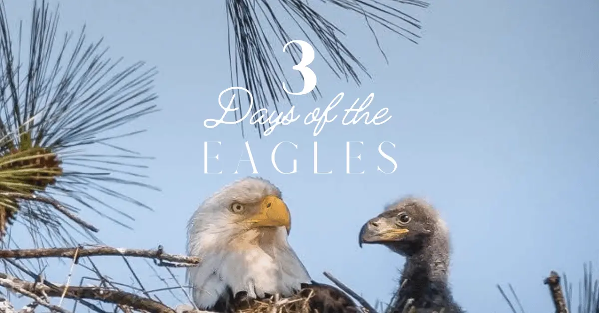 3 Days of the Eagles