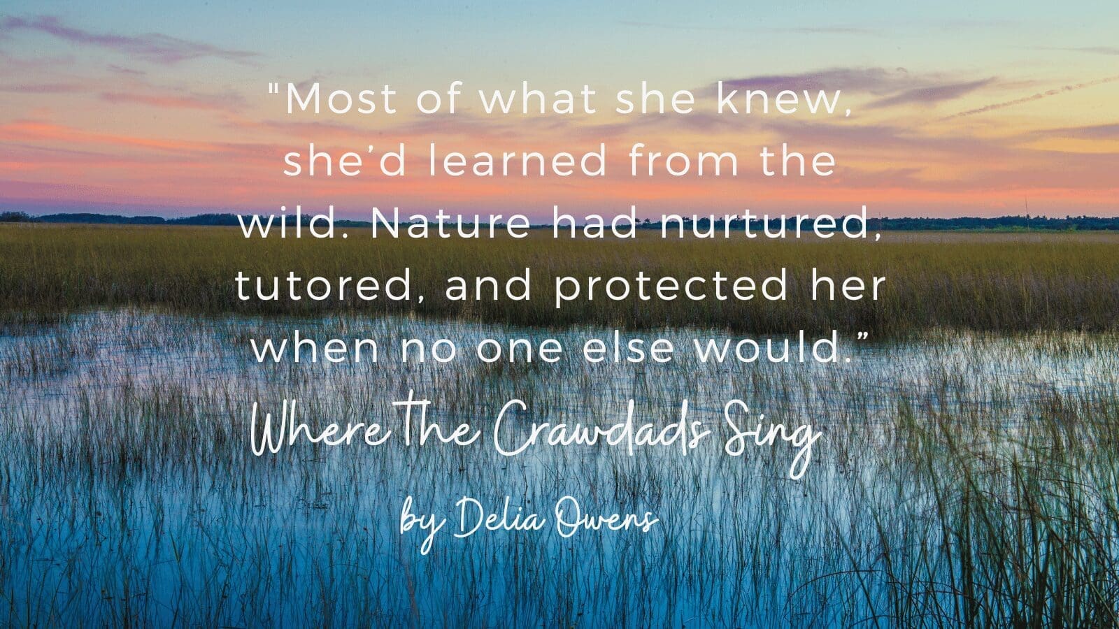 Most of what she knew she'd learned from the wild where the crawdads sing quote