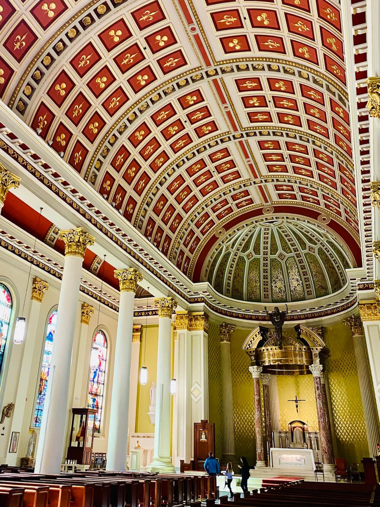Cathedral of the immaculate conception interior
