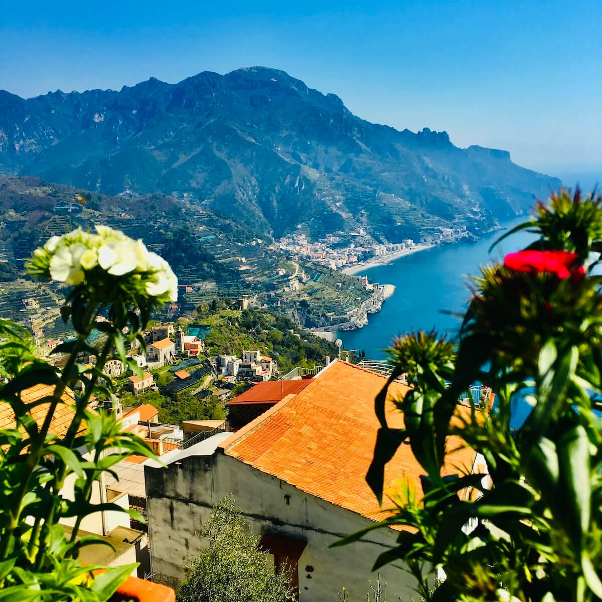 Flowers at villa rufolo in ravello