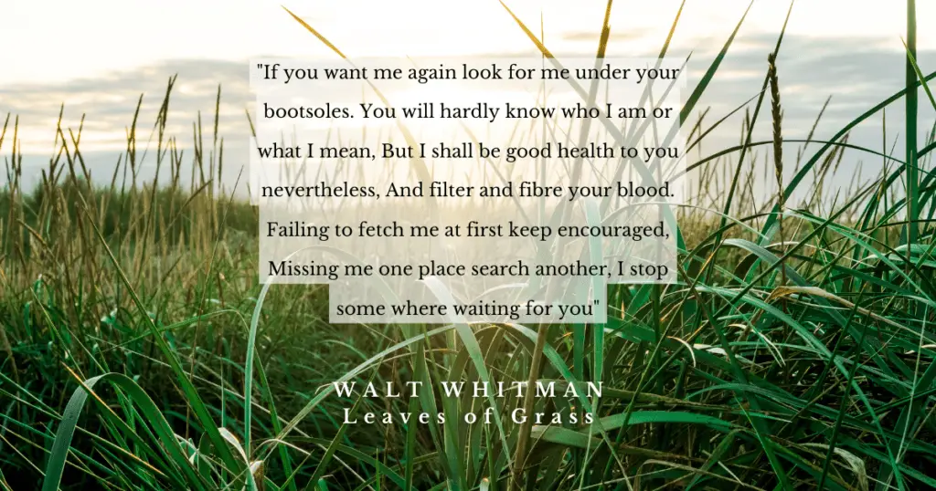 Walt Whitman Leaves of Grass Quote