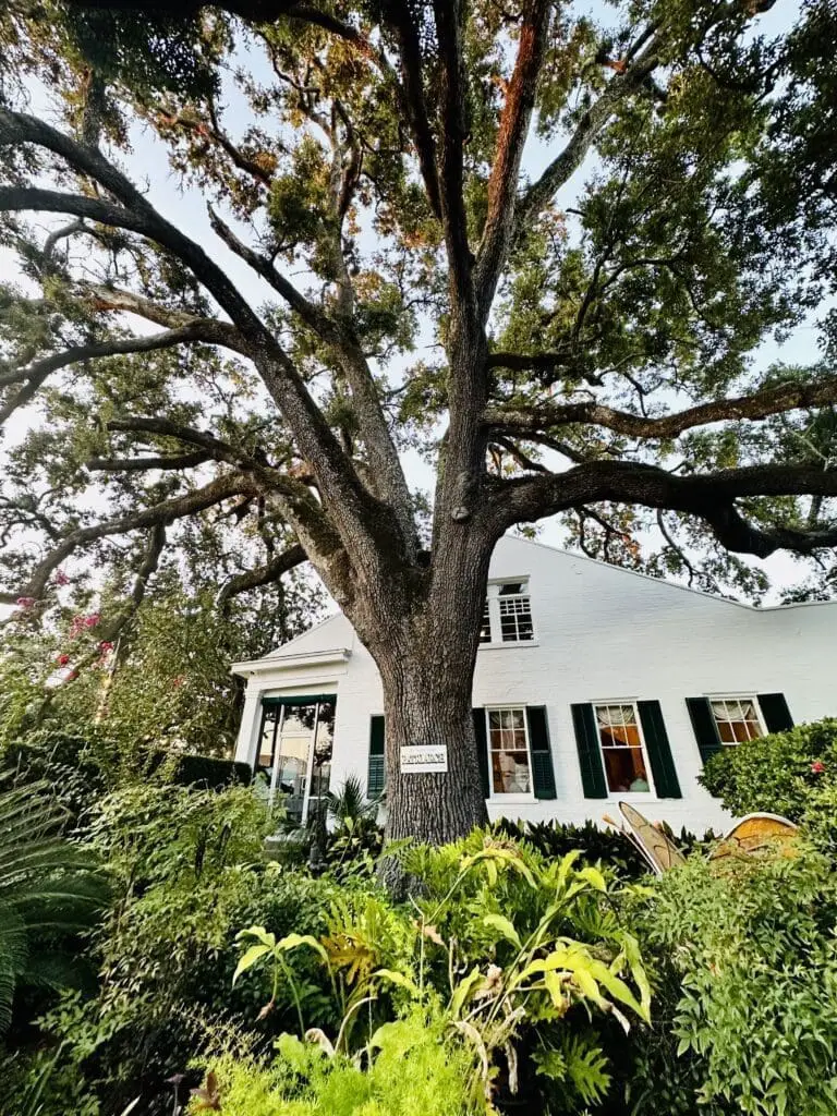 Mary mahoney's restaurant oak tree courtyard biloxi ms