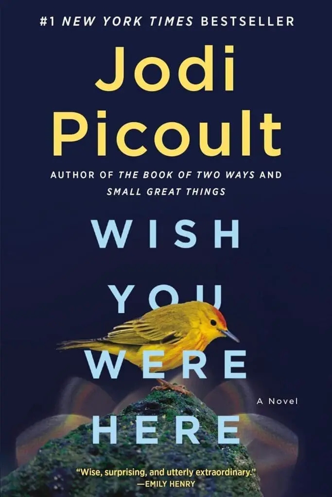Wish you were here picoult