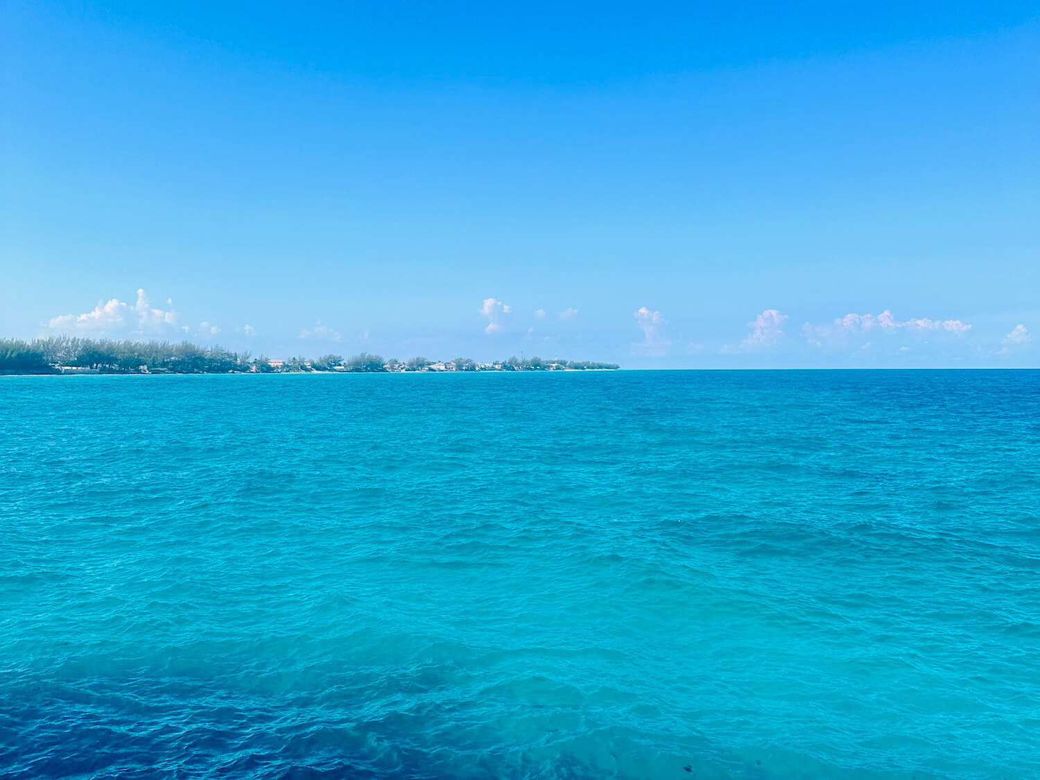 Bimini caribbean waters bahamas