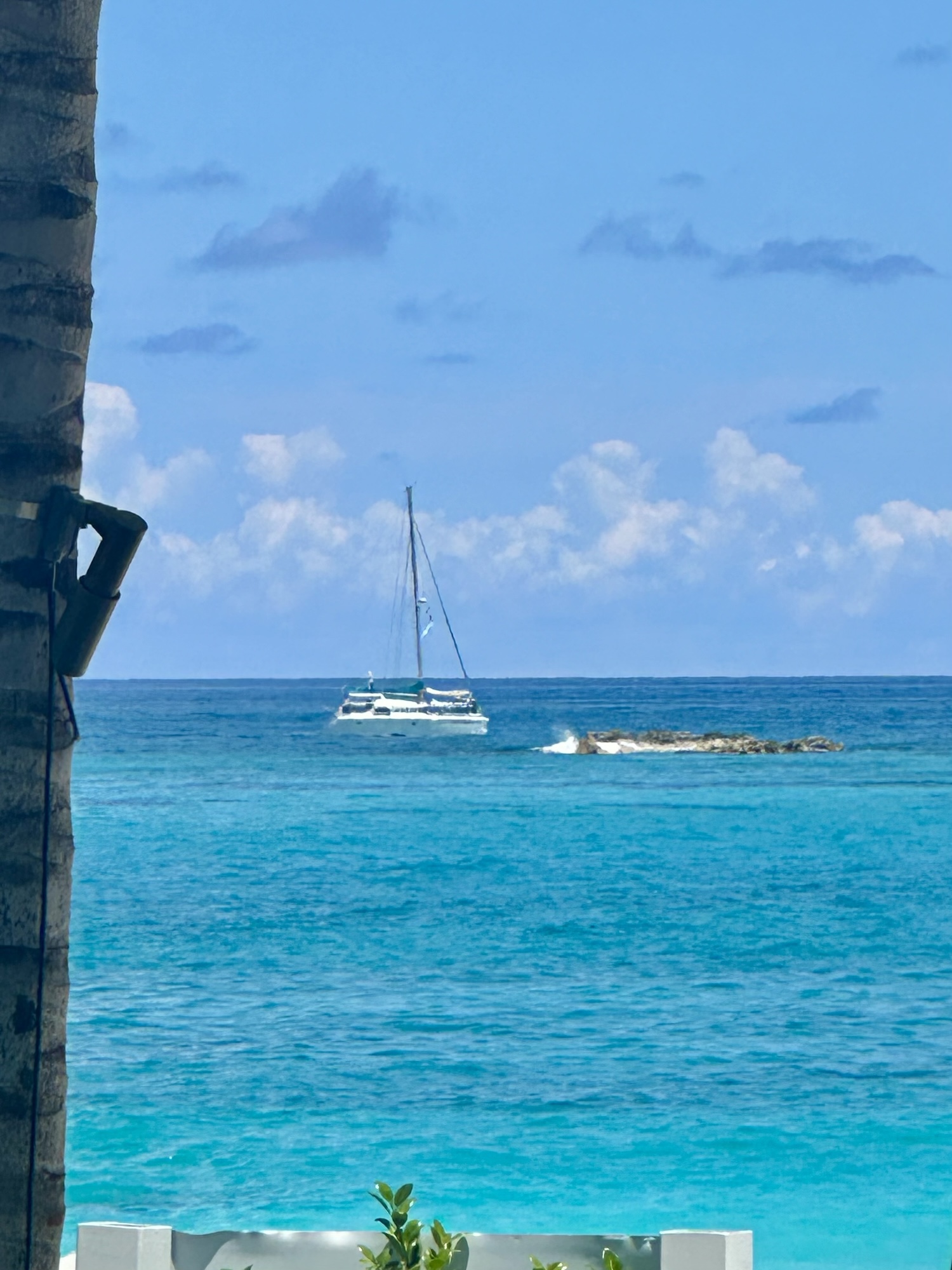 Catamaran bimini bahamas boat