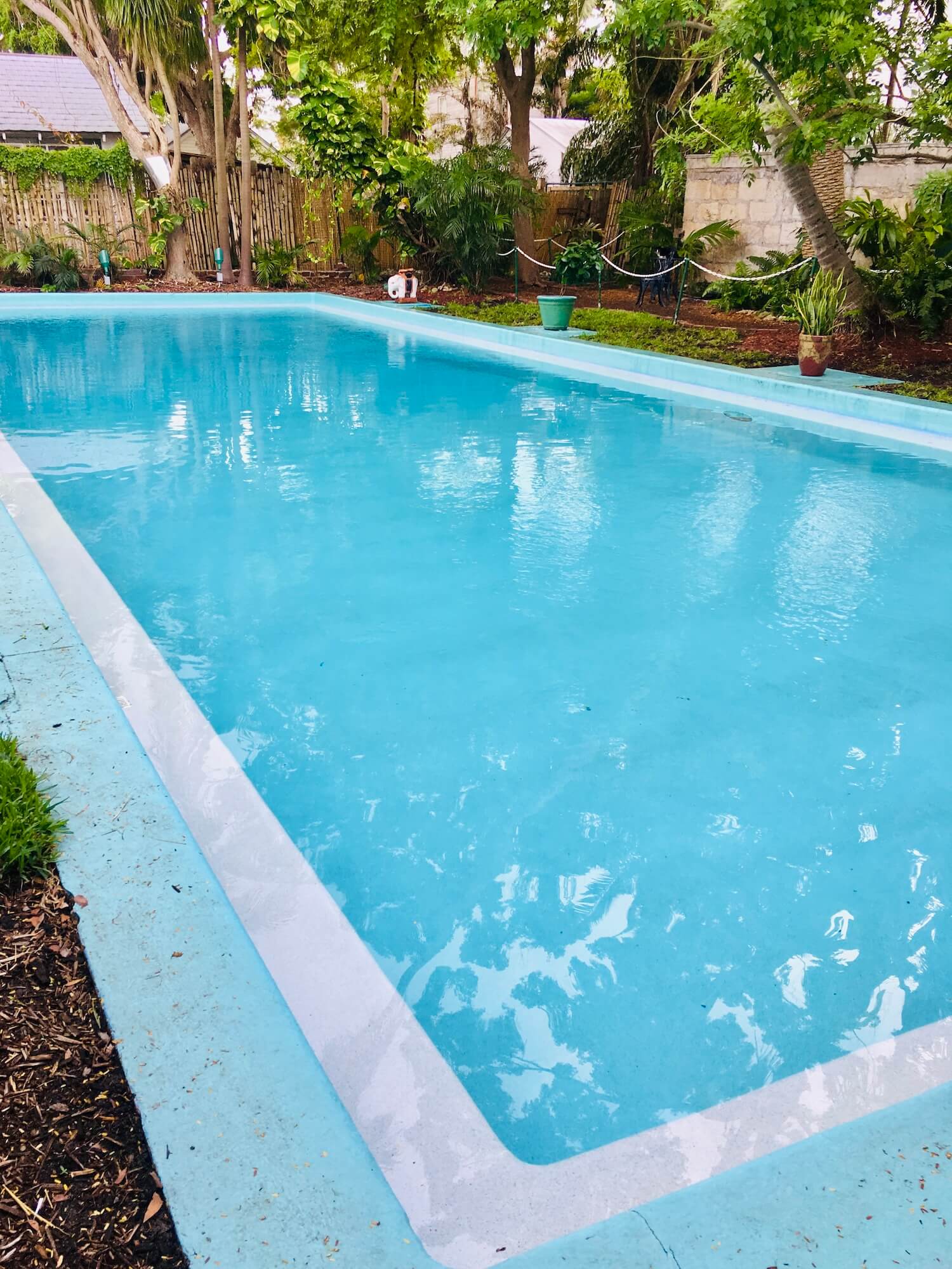 Hemingway house museum swimming pool key west florida