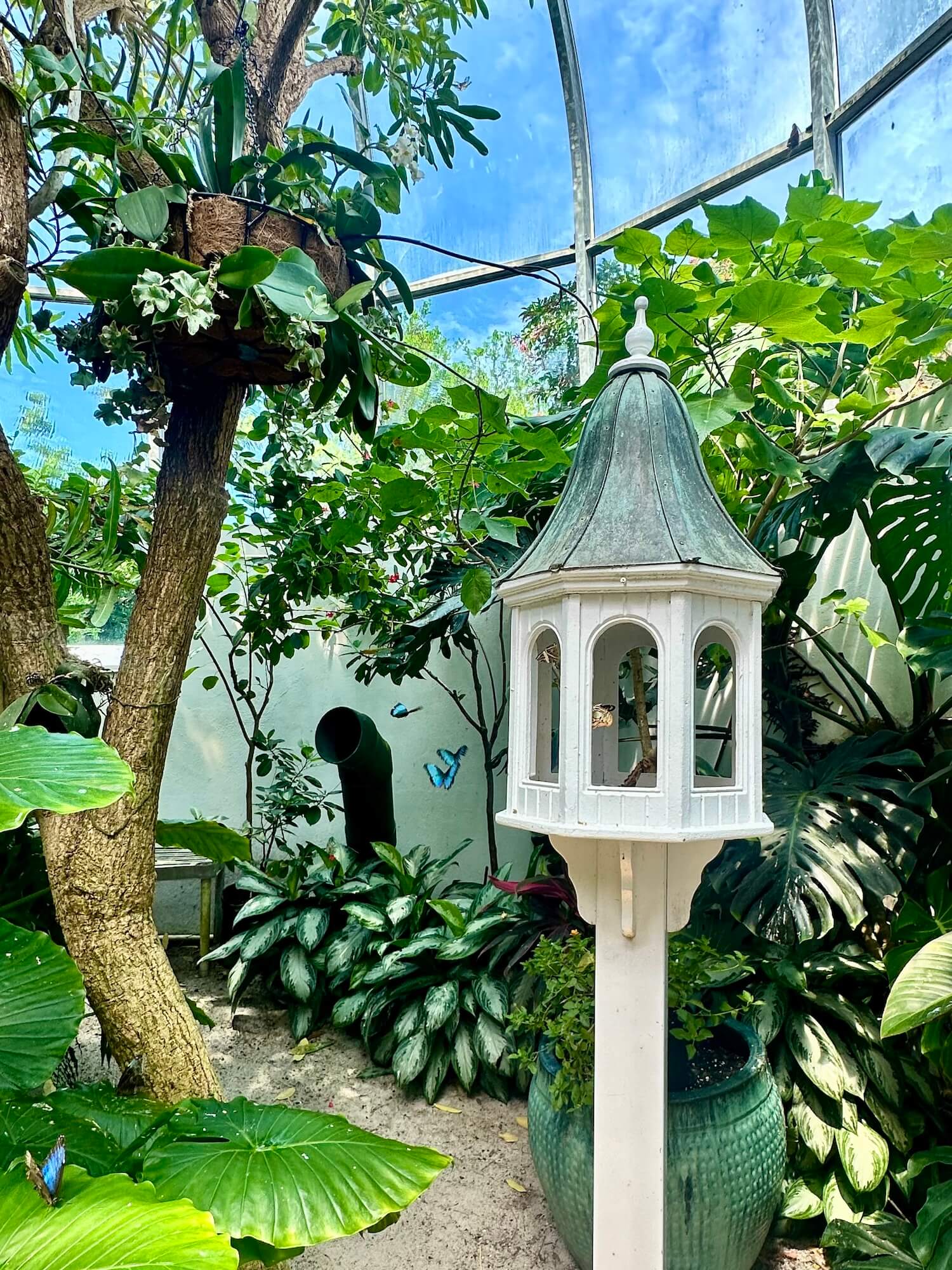 Key west florida butterfly and nature conservatory