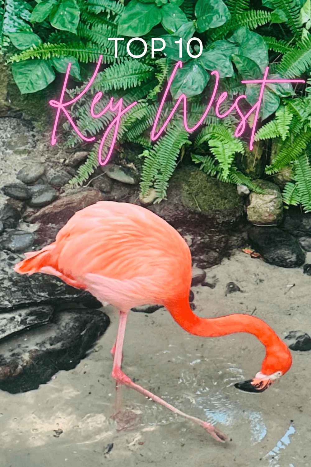 Key west pinterest pin