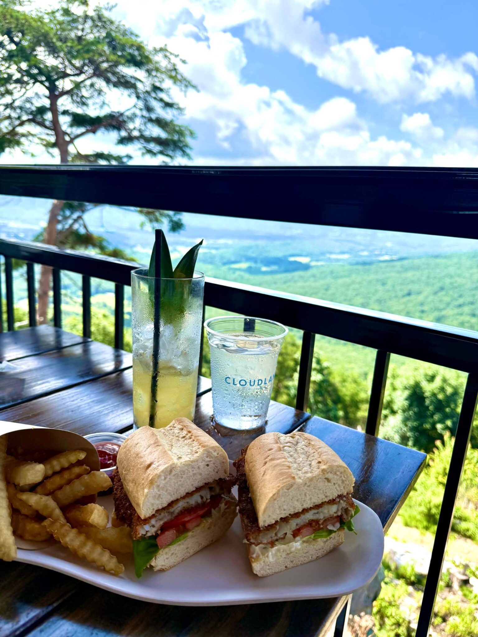grouper sandwich skyside cloudland