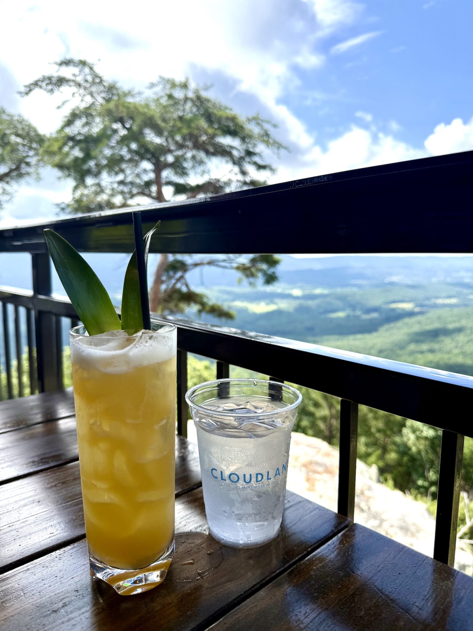 skyside cocktails cloudland at mclemore resort