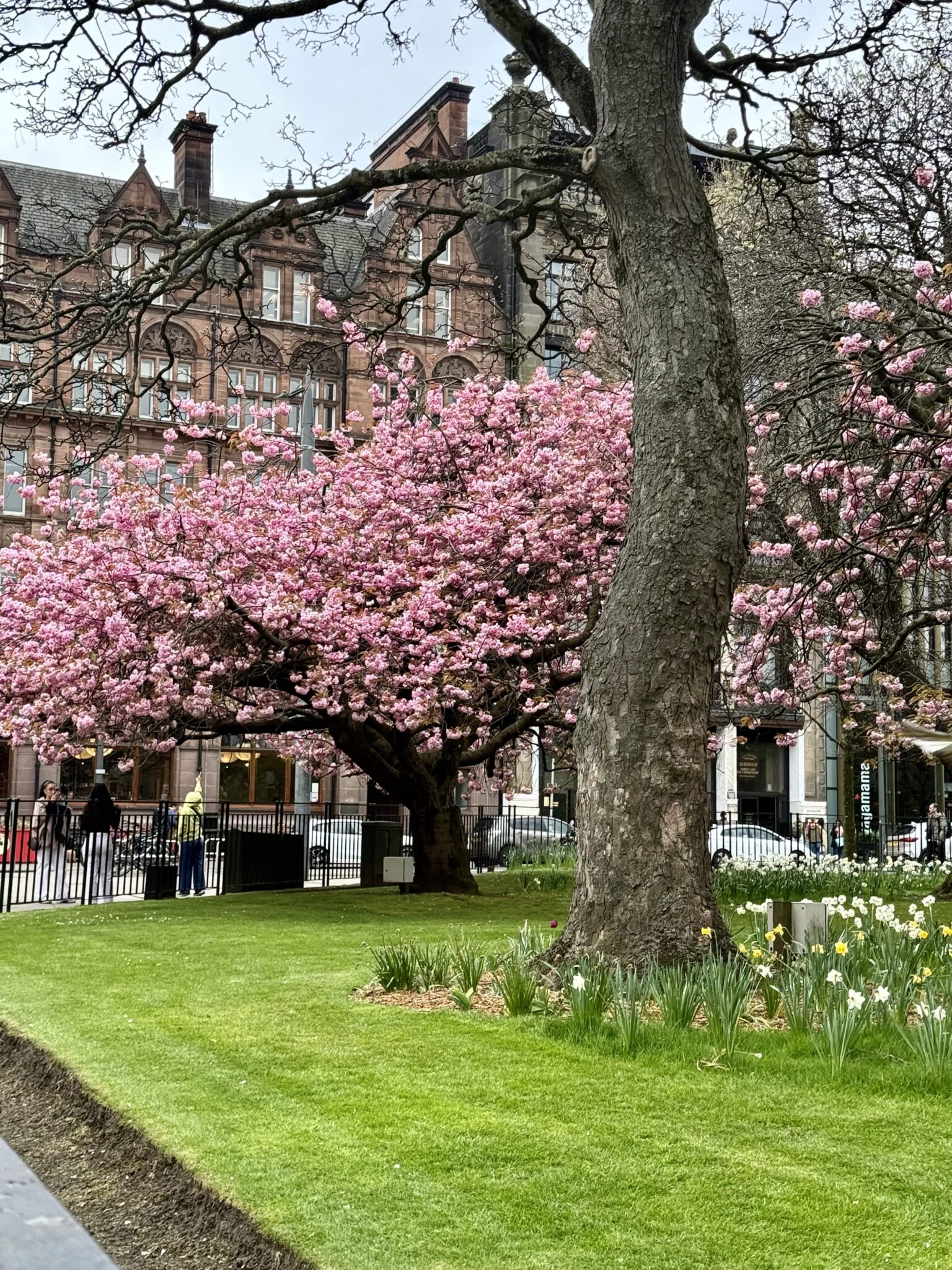 st andrews square garden edinburgh scotland-min