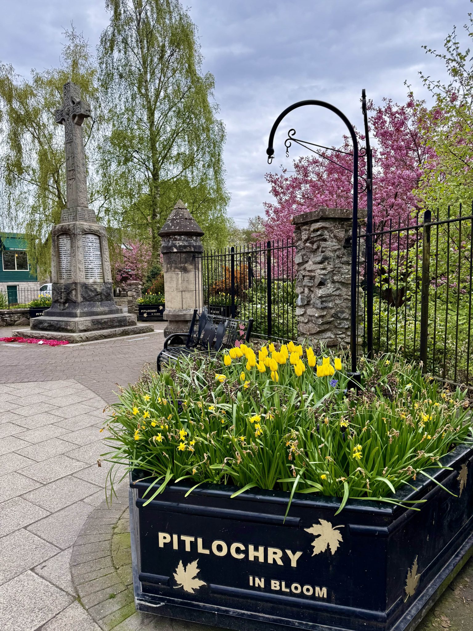 yellow flowers in pitlochry scotland